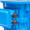 Anti-corrosion Chemical Pump Long Shaft Motor